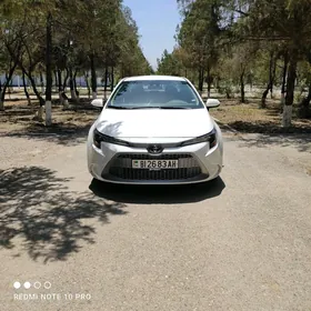 Toyota Corolla 2021