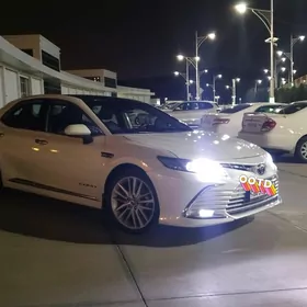 Toyota Camry 2019