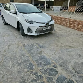 Toyota Corolla 2019