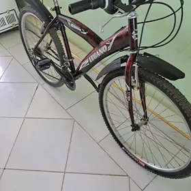velosiped