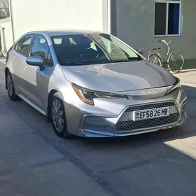 Toyota Corolla 2021