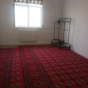 arenda jay mir 8