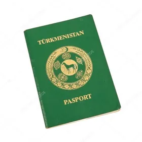 pasport yitdi