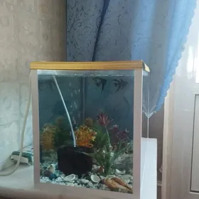 Аквариум