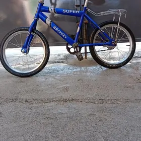 Tigir 16lyk