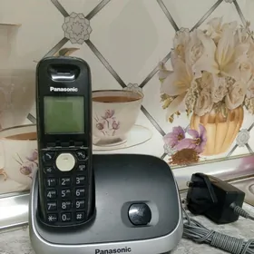 Panasonic