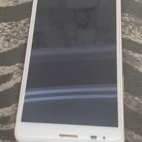 Wiley fox Spark X