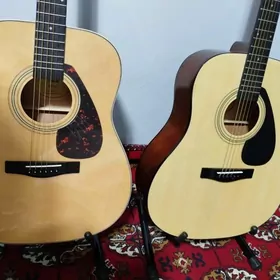 Dury sesli paket gitara 