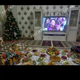 taze yyl yolka