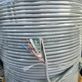 Cat 6