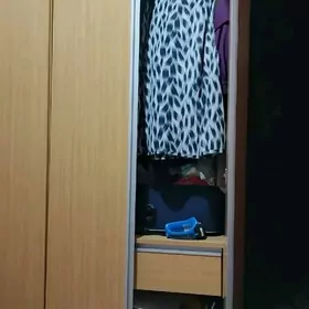 шифонер