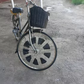 Miyata 27lik