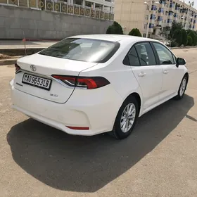 Toyota Corolla 2020