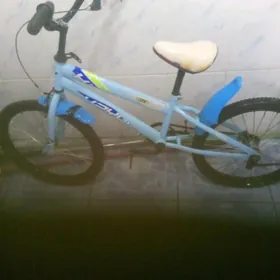 velosapet