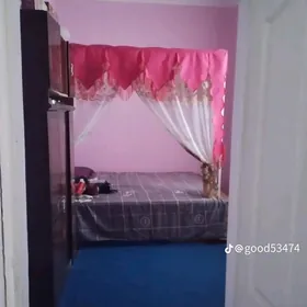 Howlu jay 25 sotuk