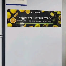 MINY HOLODYLNYKLAR ORGYNALAR