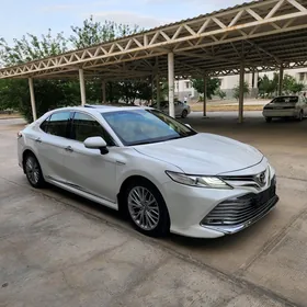 Toyota Camry 2020