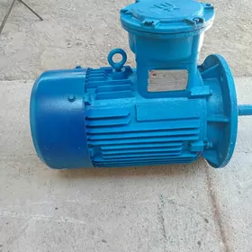 elektro dwigatel mator