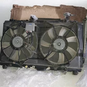 Matot  Rdyatorkar  6