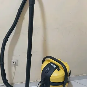 Plisos moyussi