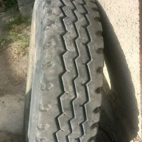 teker 12 00 20