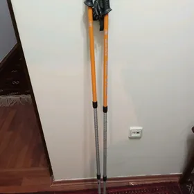 Скандинавские палки