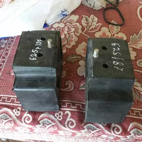 padusga taze maz