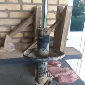 amarzator carona