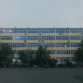 SATLYK JAY ALSIR NOWAY 3 KOM
