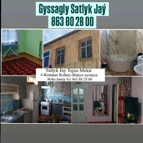 Satlyk jay