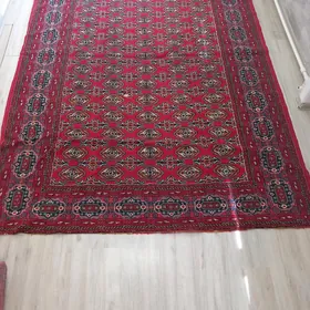 ХАЛИ ДАРОШКА