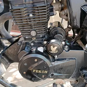 GP fekon 150 diwityl