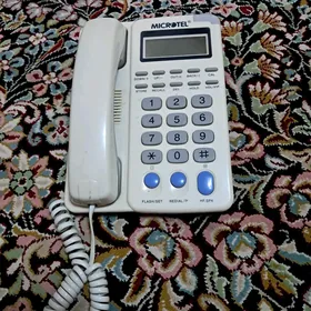 domasniy telefon