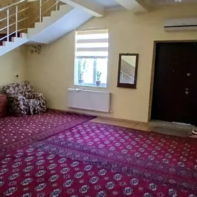 Taze zaman