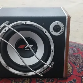 Pioneer Kalonka, Sambufer