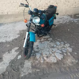 Fekon FK200-14G 2022