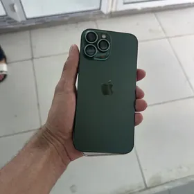 iPhone 13pro maks