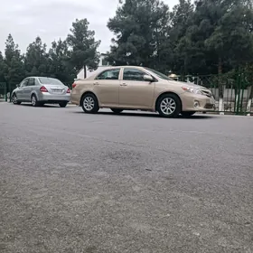 Toyota Corolla 2013