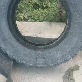 9 lyk teker