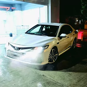 Toyota Camry 2020