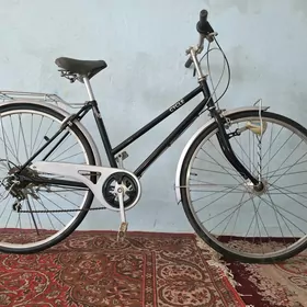 tigir yapoşga 27