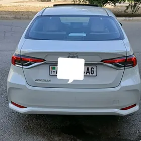 Toyota Corolla 2023