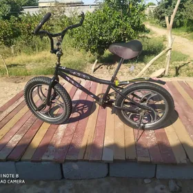 Sport Tigir