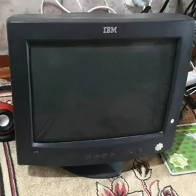 monitor