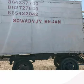 sowodyjy