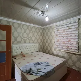 SMU pasyolka howly Eýesinden