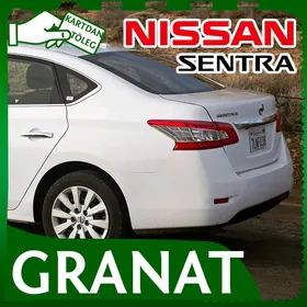 GRANAT NISSAN SENTRA NI-1-303