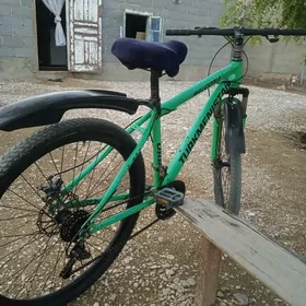 Turkmenistan welik