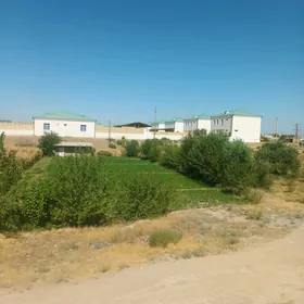 jaý mellek.