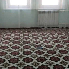 arenda jay mir7